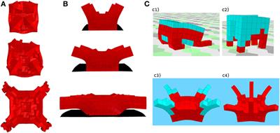 Evolutionary Developmental Soft Robotics As a Framework to Study Intelligence and Adaptive Behavior in Animals and Plants